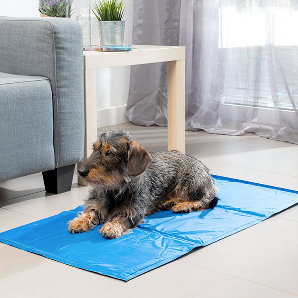 Chladivý Kobereček pro Domácí Zvířata InnovaGoods (90 x 50 cm) Chladivý Kobereček pro Domácí Zvířata InnovaGoods (90 x 50 cm)