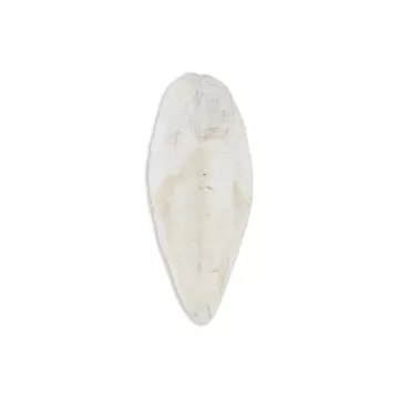 Akinu Sépiová kost VOLNĚ 1kg 20-25cm